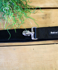 Collier Back Warmer Back On Track
