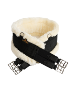 Sangle mouton Kentucky