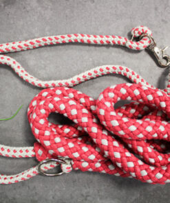 Enrenement longe Waldhausen