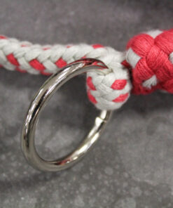 Alternative view of Enrenement longe Waldhausen