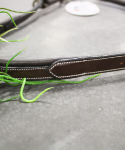 Alternative view of Licol Week pansage Jump'in