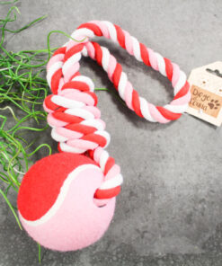 Accessoires pour chiens