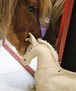 Accessoires d'écurie