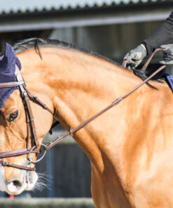 Filet One Paris Jump'in