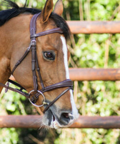 Filet one bruxelles Jump’in