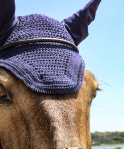 Alternative view of Bonnet Kentucky Wellington Sparkling