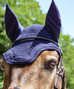 Bonnet Kentucky Wellington Sparkling