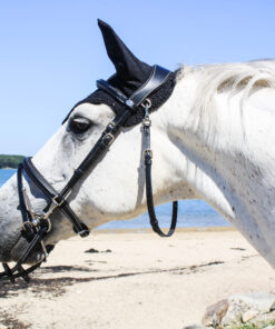 Filet functional HFI