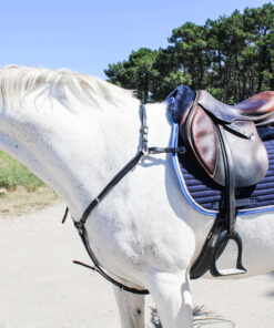 Alternative view of Collier de chasse week wednesday Jump'in