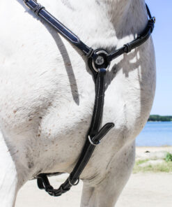 Collier de chasse week wednesday Jump'in