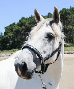 Alternative view of Licol point sellier Penelope Leprevost