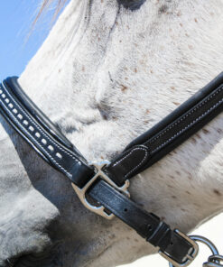 Licol point sellier Penelope Leprevost