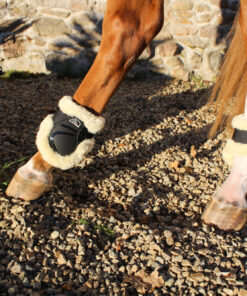 PROTÈGE-BOULETS NORTON "XTR" MOUTON SYNTHÉTIQUE