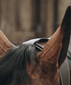 couverture imperméable