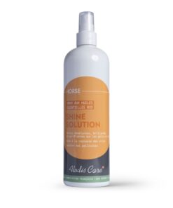 SHINE SOLUTION – Spray démélant ALODIS CARE