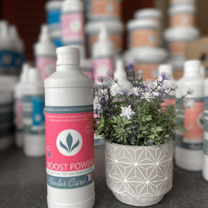Boost Power - Alodis Care