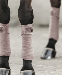 Alternative view of Bande de polo velvet - Kentucky