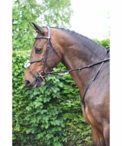 enrênement - rênes - cheval - cheval bai - haie