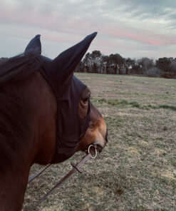 Masque Fenwick Titane