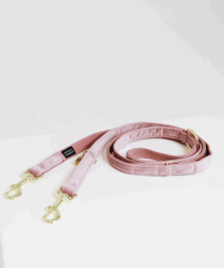 Laisse pour chien velvet - Kentucky