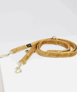 Alternative view of Laisse pour chien velvet - Kentucky