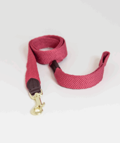 Laisse pour chien Jacquard - Kentucky