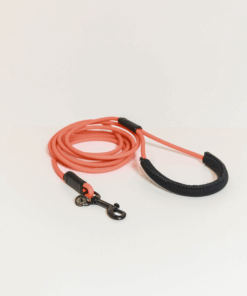 Laisse d'entraînement en caoutchouc souple - Kentucky