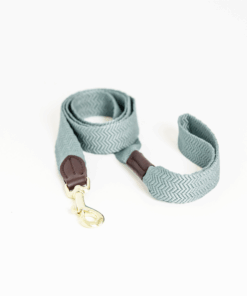 Alternative view of Laisse pour chien Jacquard - Kentucky