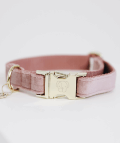 Alternative view of Collier pour chien Velvet - Kentucky