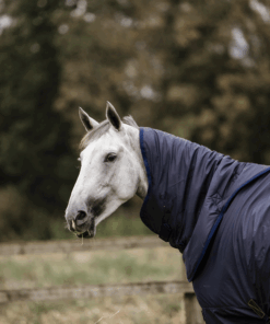 Kentucky - couvre cou all weather hurricane 150g