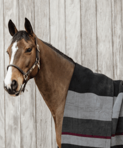 Alternative view of Kentucky - Couverture séchante carré heavy stripes