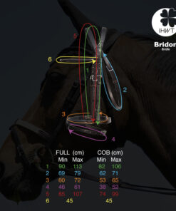 Alternative view of In Horse We Trust - Bridon évolution infinity