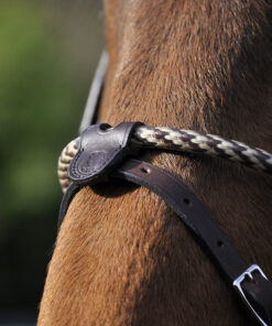 Alternative view of In Horse We Trust - Muserolle corde