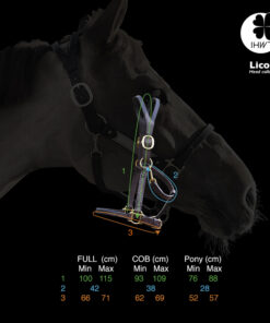 Alternative view of In Horse We Trust - Licol style