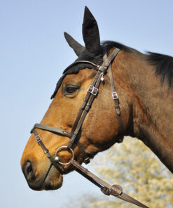 Alternative view of In Horse We Trust - Bridon Evolution Soft T