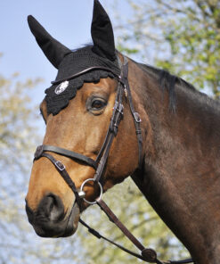 In Horse We Trust - Bridon Evolution Soft T