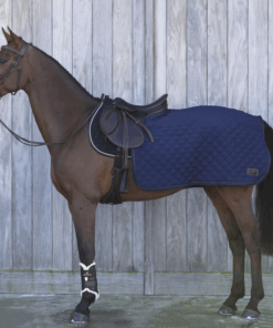 Kentucky - Couvre reins carré 160g