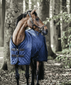 Kentucky - Couverture d'écurie 0g