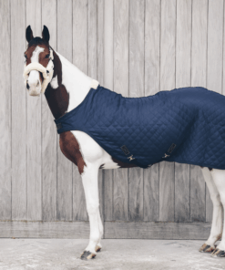 Alternative view of Kentucky - Couverture de marcheur 160g