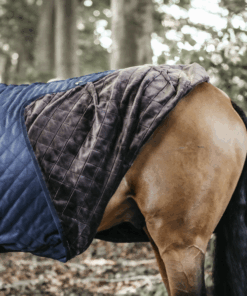 Alternative view of Kentucky - Couverture d'écurie 0g