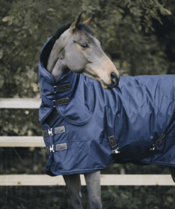 Kentucky - Couvre cou all weather imperméable pro 150g
