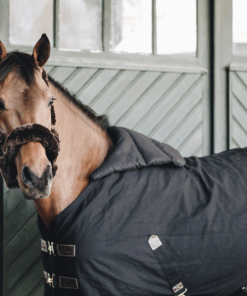 Kentucky - Horse bib été