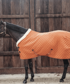 Alternative view of Kentucky - Couverture de présentation 160g