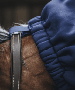 Alternative view of Kentucky - Echarpe polaire pour chevaux