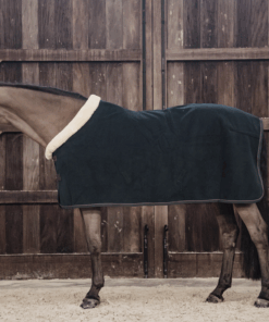 Alternative view of Kentucky - Couverture séchante show heavy