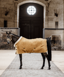 Alternative view of COUVERTURE DE PRÉSENTATION VELVET 160G