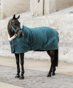 COUVERTURE DE PRÉSENTATION VELVET 160G