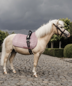 Alternative view of TAPIS VELVET EMERAUDE KENTUCKY PONY