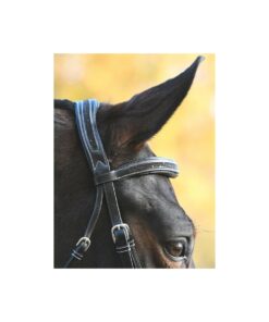 Bridon Carat noir - Collection One Premium Jumpin
