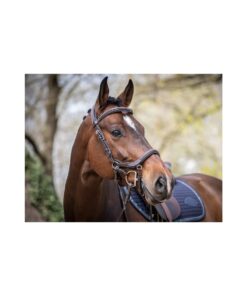 Bridon Summer - Collection Week Jump'in